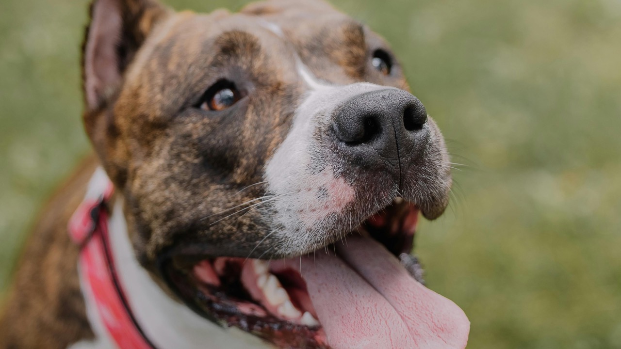 Elina Volkova/Pexels