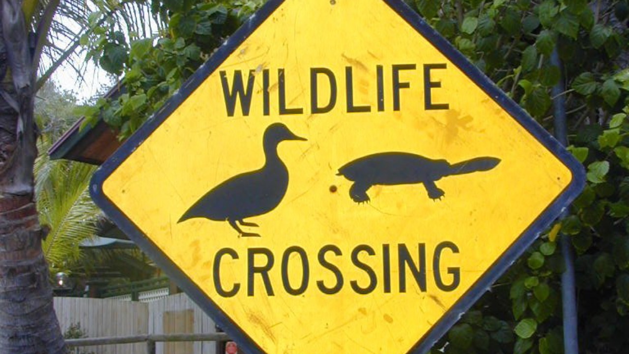 Image Credit: Dennis Desmond - CC BY-SA 3.0/Wiki Commons