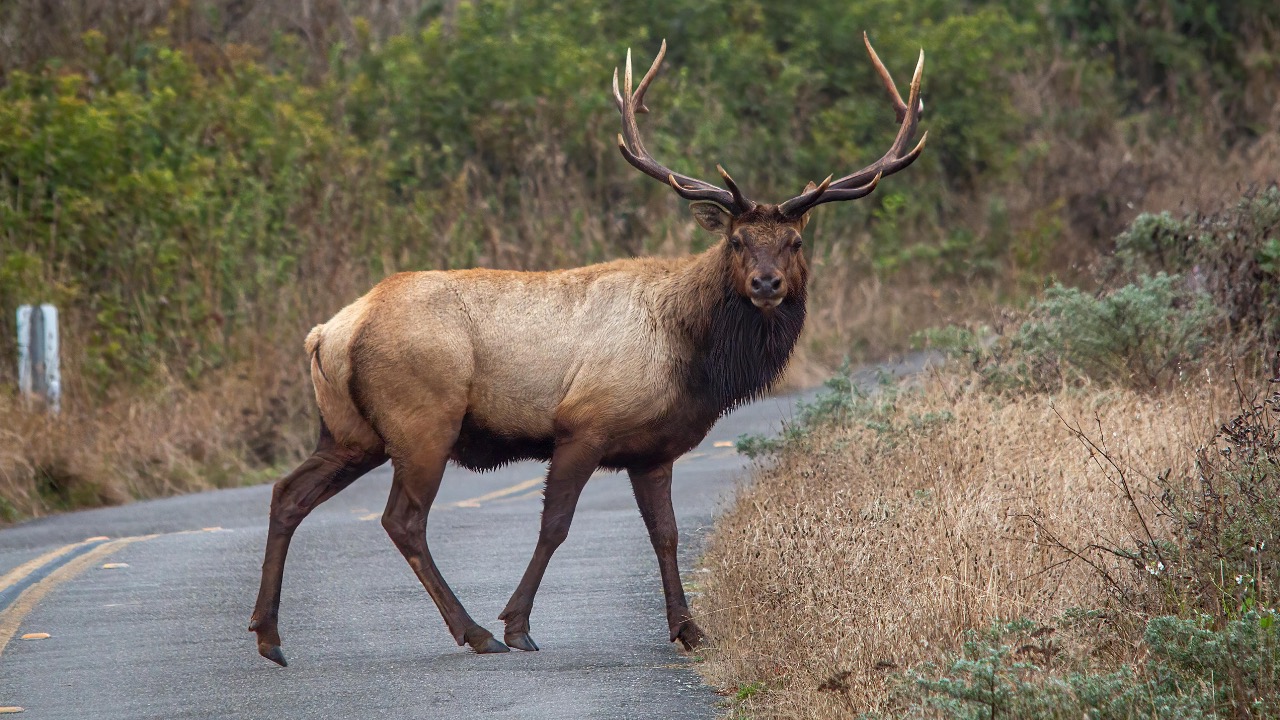 David McElwee/Pexels