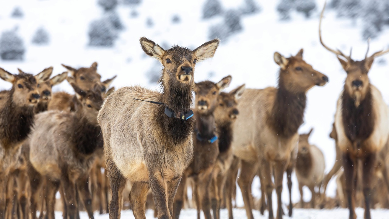 Stephen Leonardi/Pexels