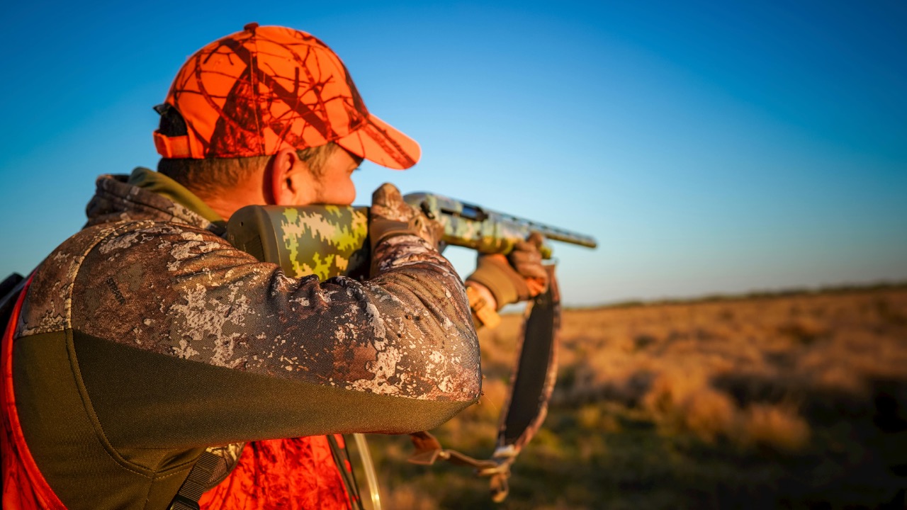 Arian Fernandez/Pexels