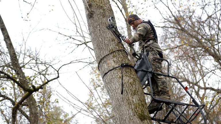 REDAV/Shutterstock.com