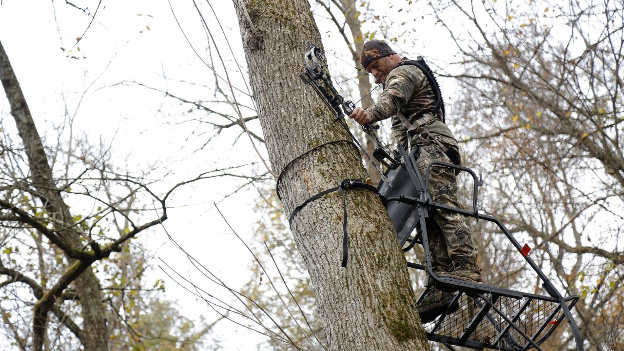 REDAV/Shutterstock.com