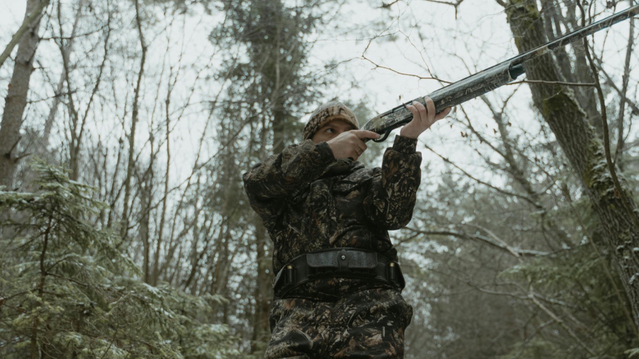 Tima Miroshnichenko/Pexels