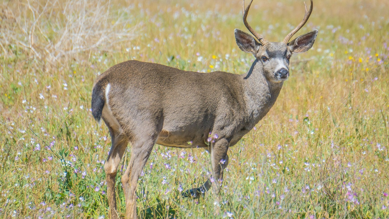 bryangoffphoto/Unsplash