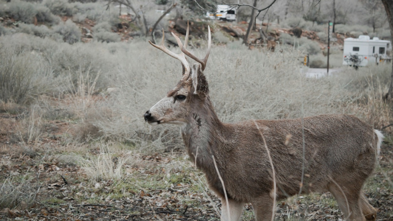 hadleywoodall/Unsplash