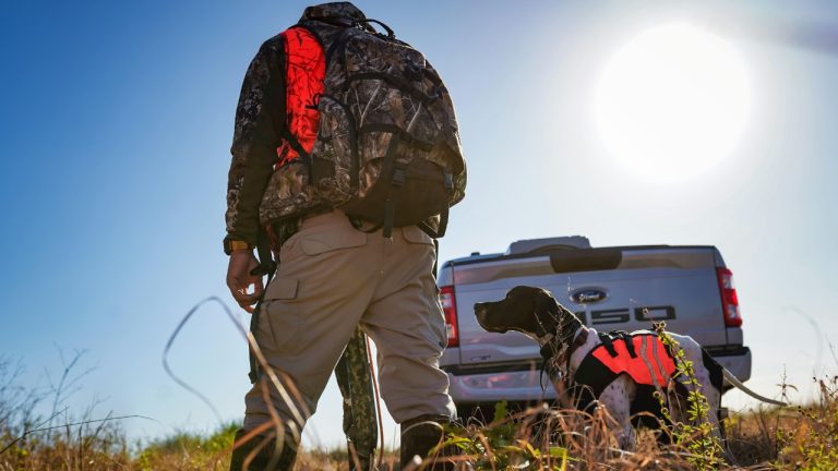 Arian Fernandez/Pexels