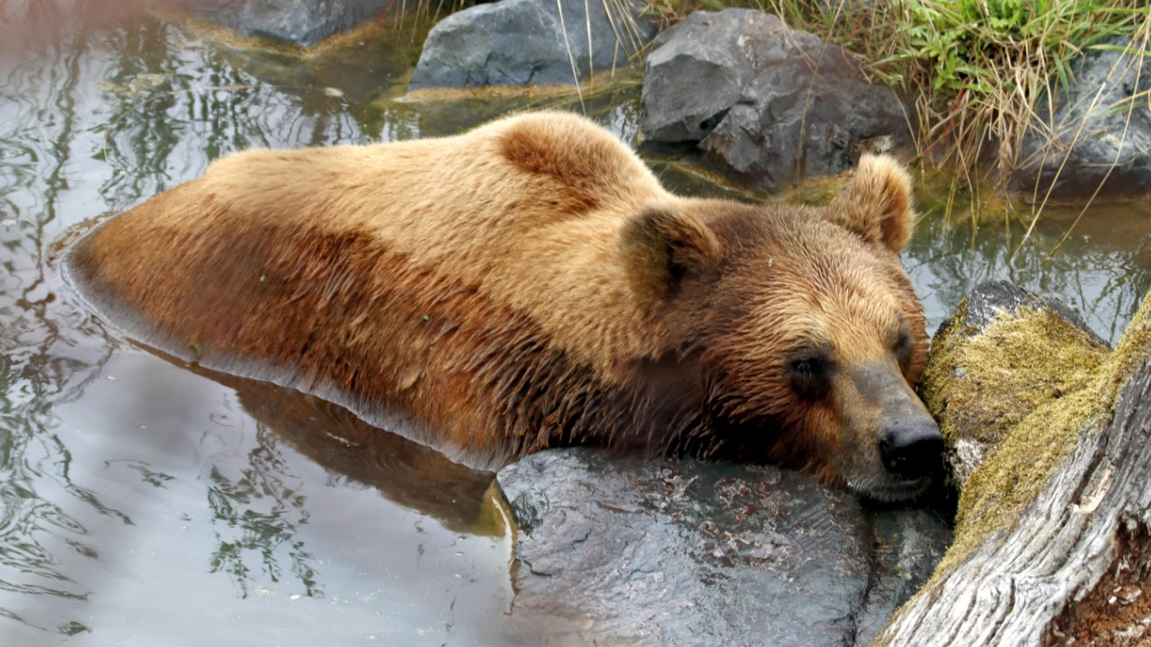 patrice schoefolt/Pexels