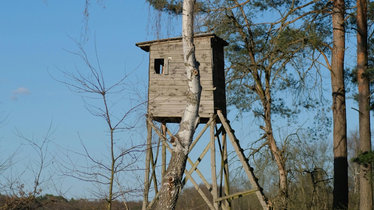 Roman Biernacki/Pexels