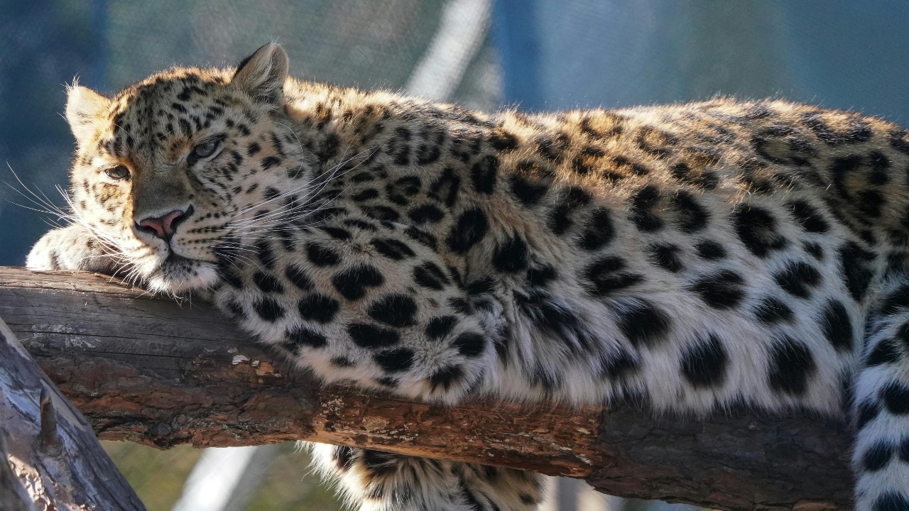 Nihongraphy 2/Pexels