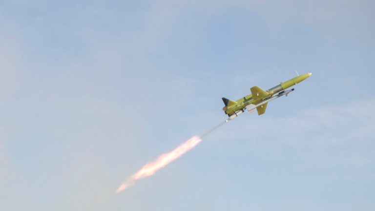 Image Credit: Bahareh Asadi - Attribution/Wiki Commons