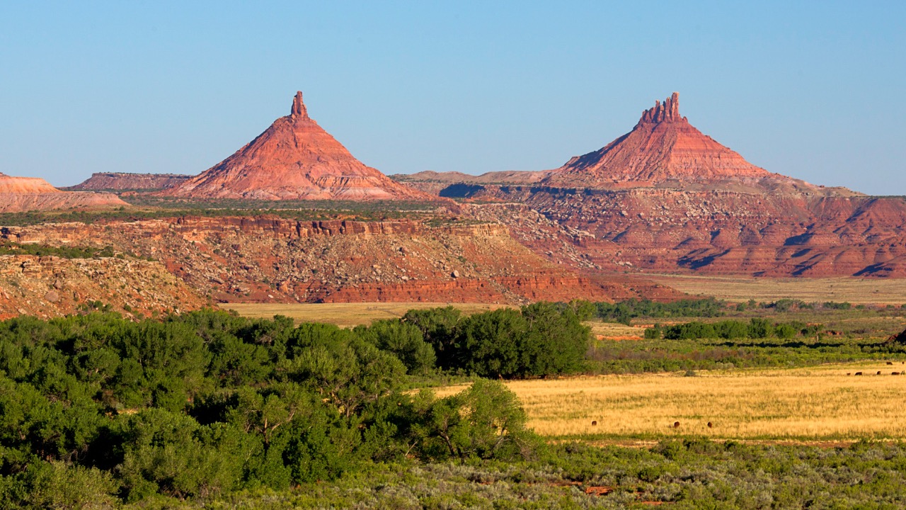 Image Credit: US Bureau of Land Management - Public domain/Wiki Commons