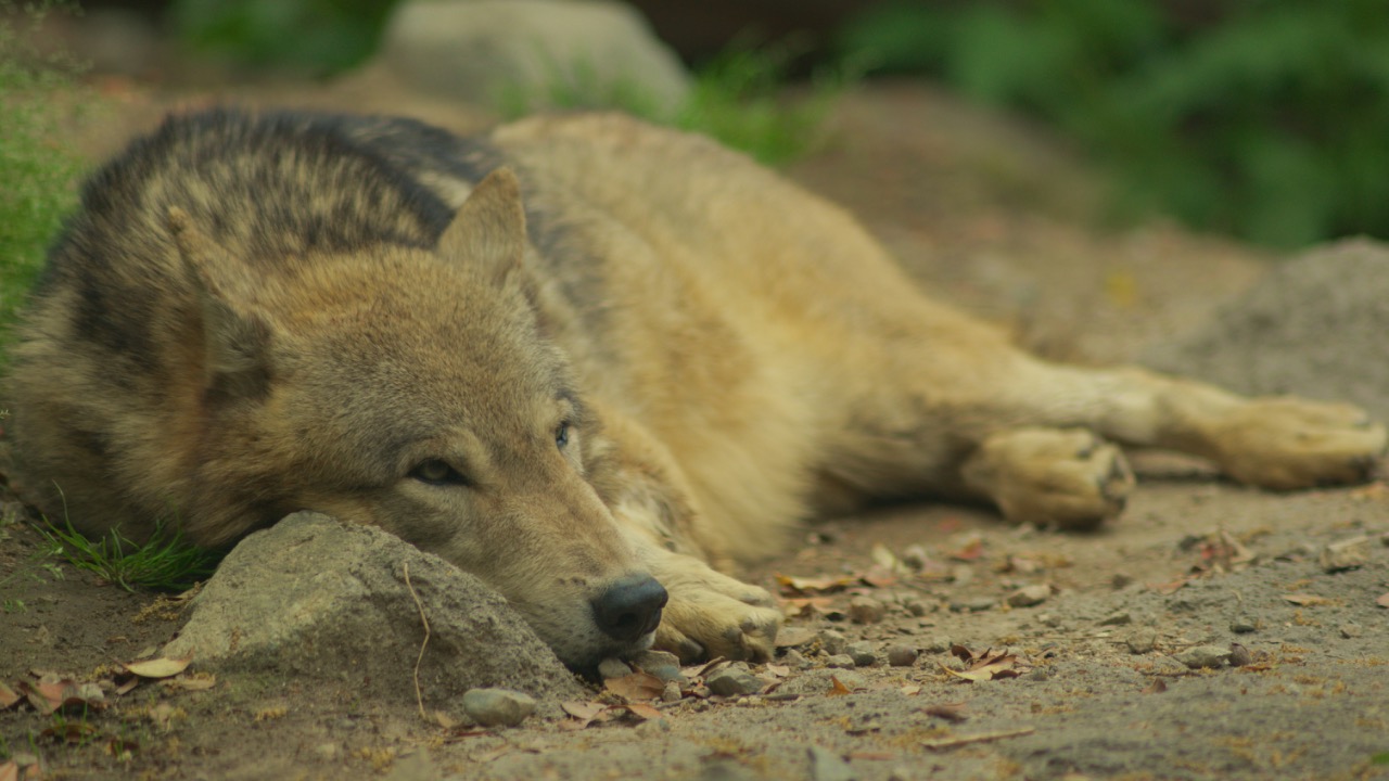 toochi_hise/Unsplash