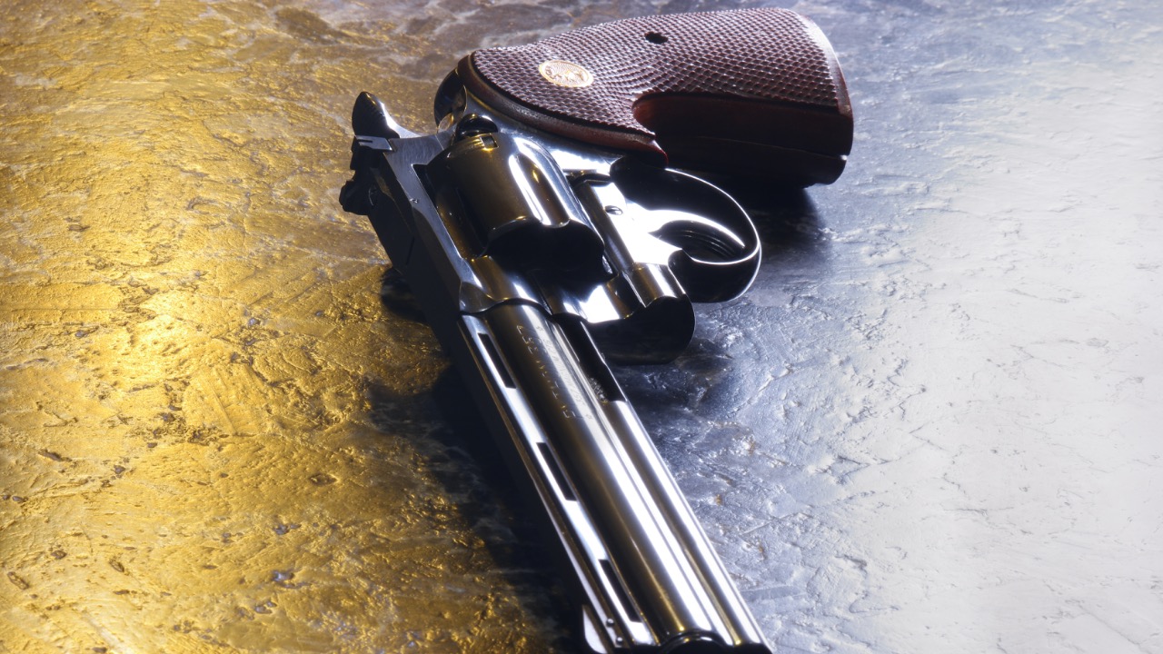 Image Credit: lifesizepotato from San Antonio, TX - CC0/Wiki Commons