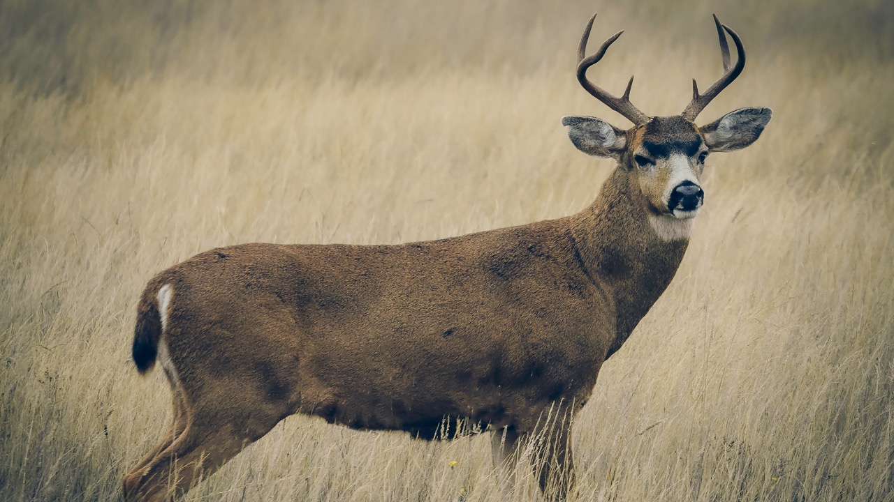 sailorgreg123/Unsplash