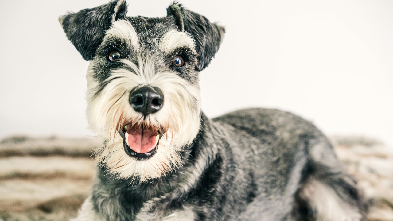 Sebastian Coman Travel/Pexels