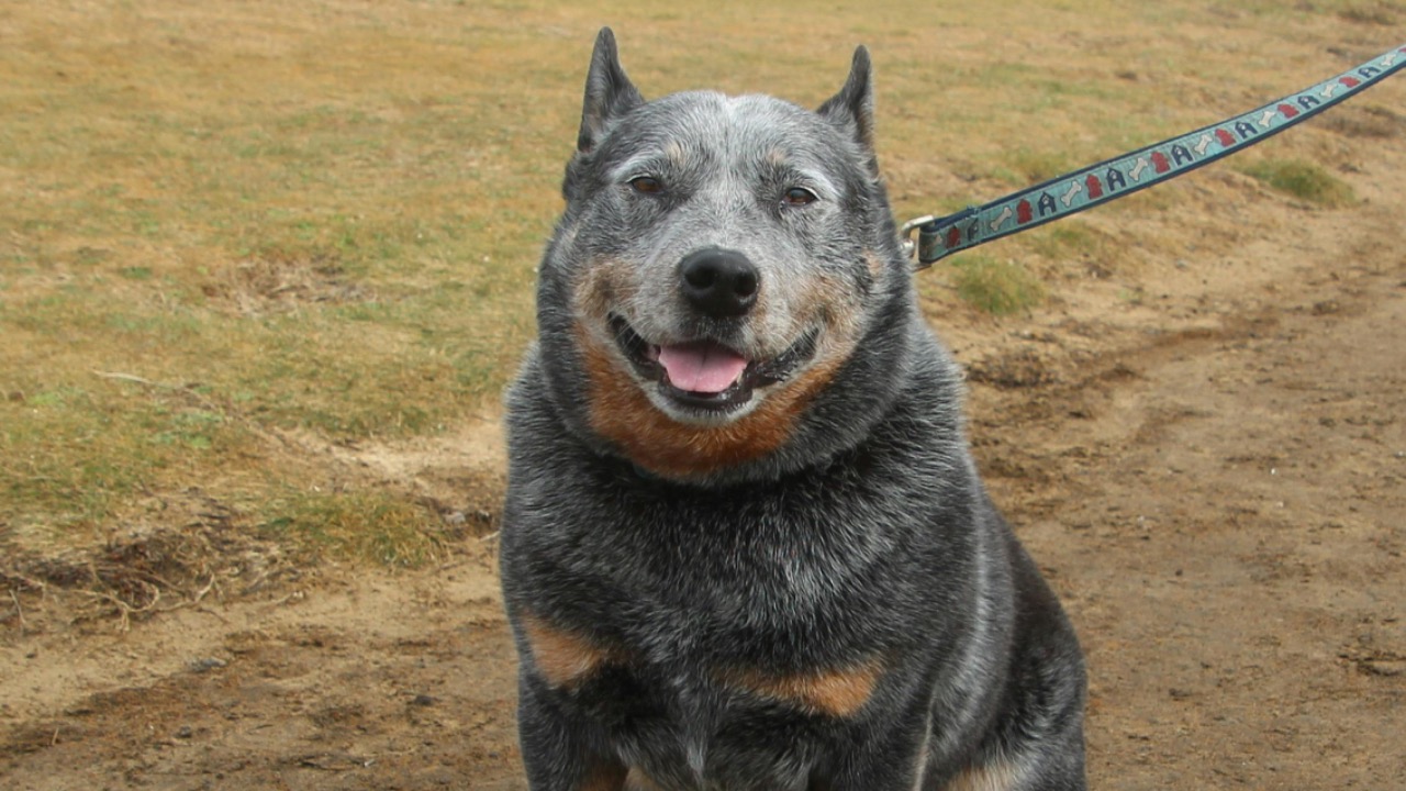 Patricia Merl/Pexels