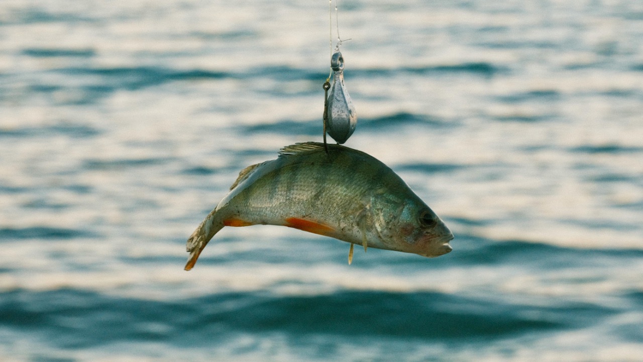 Ahmet Çiftçi/Pexels