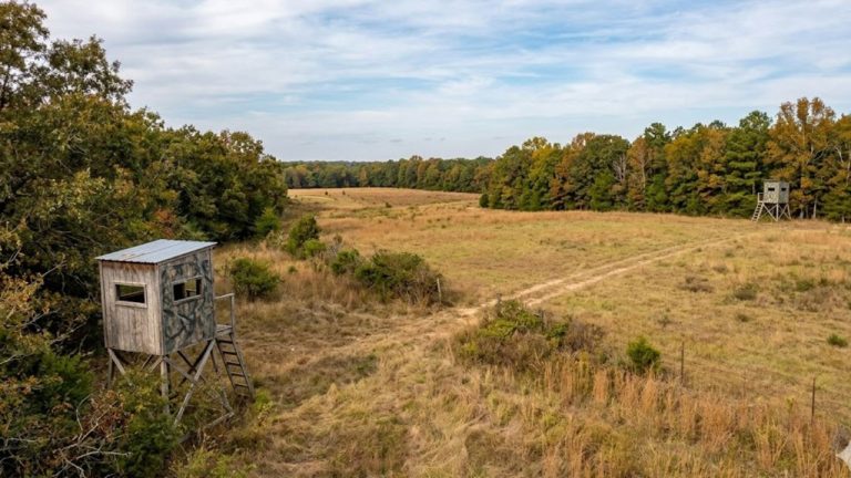 Hunter says someone set up a stand directly downwind of him after seeing where he was hunting