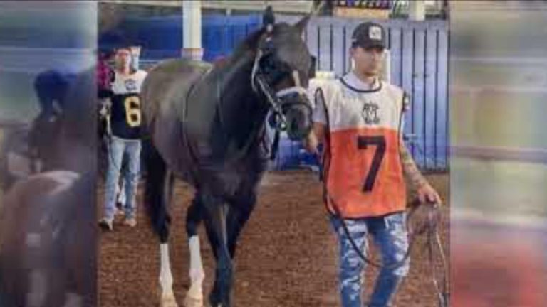 Racehorse dies moments after crossing finish line on first career start in tragic Preakness weekend incident