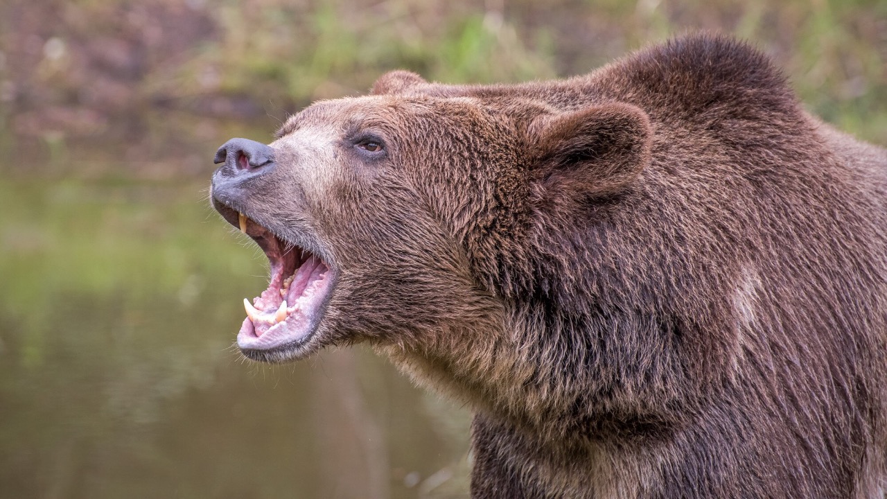 Image by Freepik