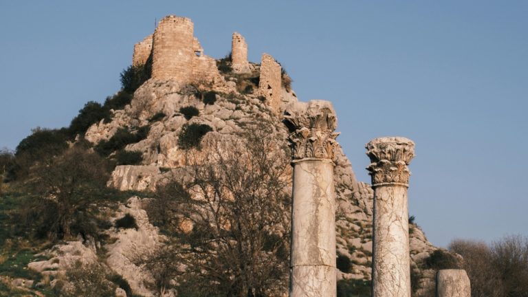ebuyıldız/Pexels