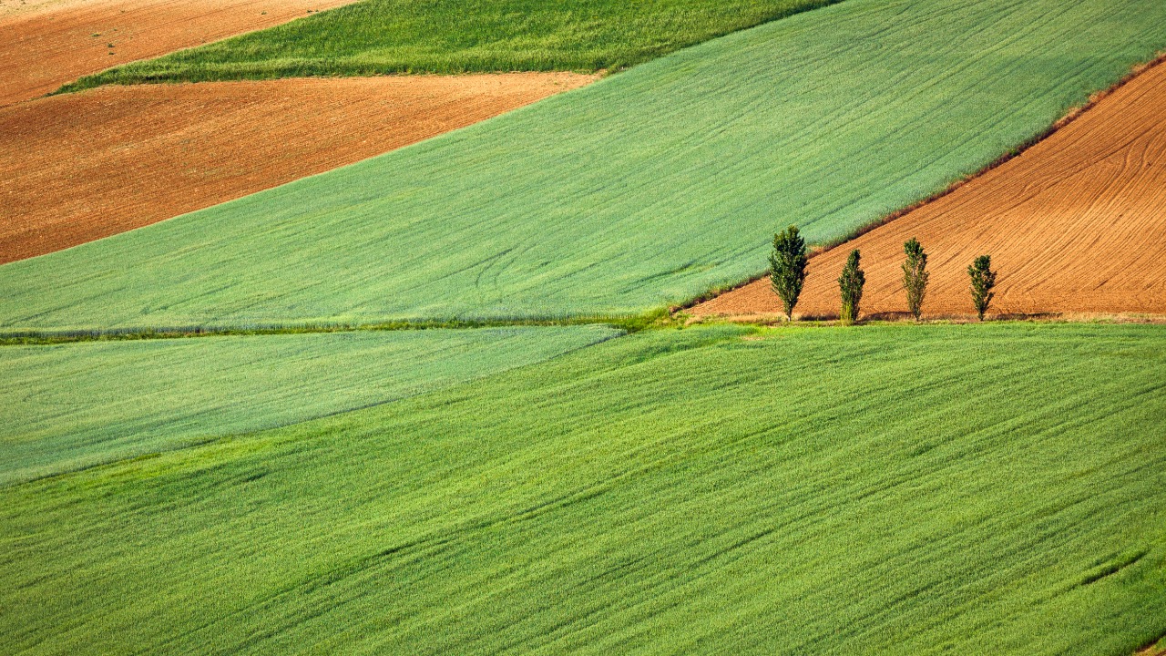 gaetanocessati/Unsplash